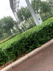 -HEYAN长风荷妍专业脱毛美肤
