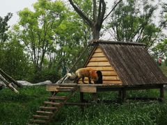 -祥源·阜阳生态乐园