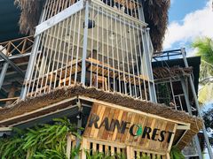 -Rainforest