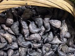 -王婆炒鱼(总店)