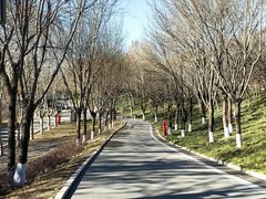 -河北省园博园