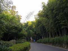 -苏州环秀晓筑养生度假村
