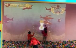 -恐龙探索乐园(磁器口店)