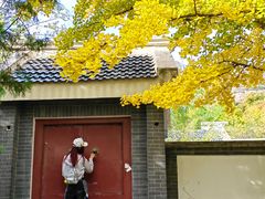 -北京鹫峰国家森林公园
