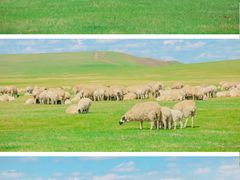 -呼和诺尔旅游景区