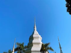 -西双版纳傣族园