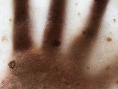 -东门烤鸭店(鼓楼店)