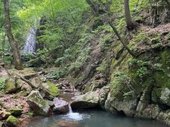 -本溪汤沟绿石谷森林公园
