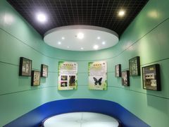 -上海昆虫博物馆