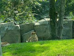 -北京野生动物园
