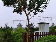 -永定河休闲森林公园