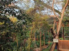 -呀路古热带植物园