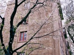 -武汉大学-樱园