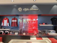 -上海保利玛莎拉蒂和阿尔法罗密欧(华翔路店)