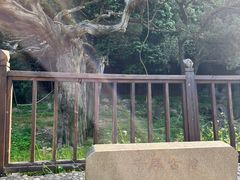 -草庵摩尼教遗址公园