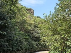 -北京西山国家森林公园