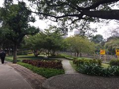 -晓港公园