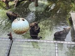 -深圳野生动物园