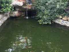 -杭州第一世界大酒店·云曼温泉