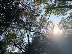 -深圳国际园林花卉博览园