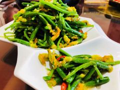 -君临七星生态酒店