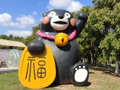 -上海海湾国家森林公园