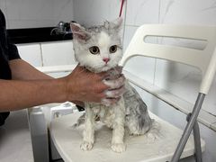 -艾贝尔宠物医院 ·中兽医·宠保定点(北门桥店)