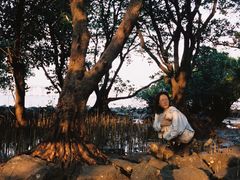 -宝安西湾红树林湿地公园