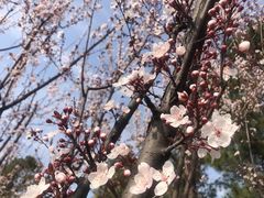 -美兰湖景区