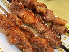 红柳烤串-新疆红柳花餐厅(新洲店)