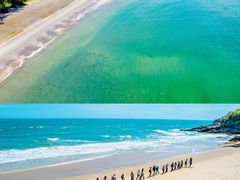 -广东惠东海龟国家级自然保护区