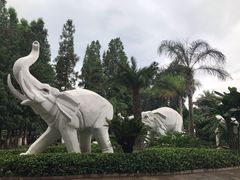 -云南民族村