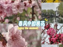-秀儿家の小确幸花园西餐厅