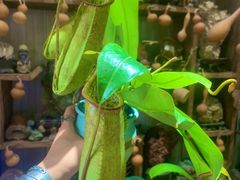 -Rabbit Cafe私房西餐甜点咖啡(栖霞路店)