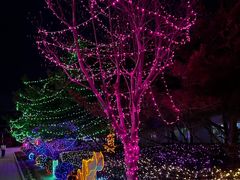 -南宫五洲植物乐园