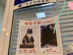 -瑞派·关忠动物医院(国瑞店)