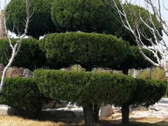 -那香海钻石沙滩浴场