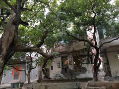 -小洲村