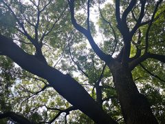 -堤角公园