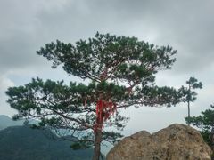 -丹东天桥沟景区