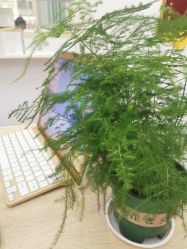 -痘院长·祛痘·科技美肤