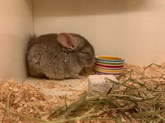 -龙猫仔乐园(惠福东路店)