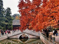 -香山公园