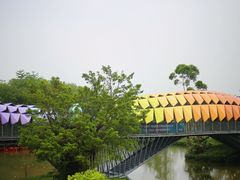 -江门古劳水乡旅游区
