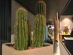 -dotcom coffee古点咖啡(致真大厦店)