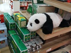 -熊猫邮局(少城店)