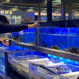 南海奢谷自助餐