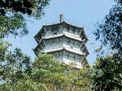 -深圳国际园林花卉博览园