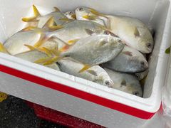 -鸿港海鲜批发市场