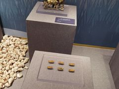 -昆明市博物馆(昆明市文物保护和考古研究中心)